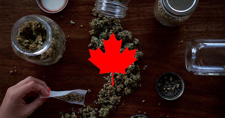 Canada Legalized Marijuana