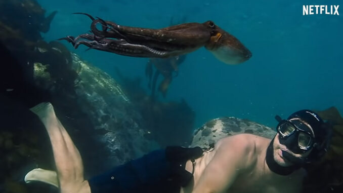 Craig Foster with his octopus friend